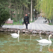  ,   Temuri, 48 ,   