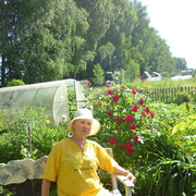 ���������� �����, ���� ������� ����, 66 ���, ������������ ��� ������, ����� � ���������, c�������� ���������