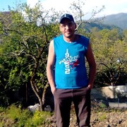  ,   , 41 ,   ,   