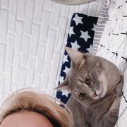  -,   , 25 ,   ,   , 