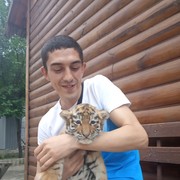 ���������� ���������, ���� ������� ������, 38 ���, ������������ ��� ������, ����� � ���������, c�������� ���������