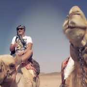 ���������� ������, ���� ������� ����, 43 ����, ������������ ��� ������, ����� � ���������