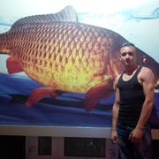 ���������� ���������, ���� ������� �����, 34 ����, ������������ ��� ������, ����� � ���������, c�������� ���������