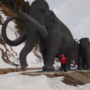 ���������� ������, ���� ������� ������, 38 ���, ������������ ��� ������, ����� � ���������, c�������� ���������, ���������