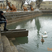 ���������� ������, ���� ������� Deni, 36 ���, ������������ ��� ����� � ���������, c�������� ���������