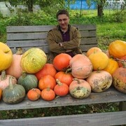  ,   , 51 ,   ,   