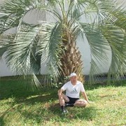 ���������� ������, ���� ������� Grihka, 39 ���, ������������ ��� ������, ����� � ���������, c�������� ���������