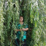  ,   , 42 ,   c 