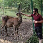 ���������� ������, ���� ������� Mkhi tar, 37 ���, ������������ ��� ������, ����� � ���������