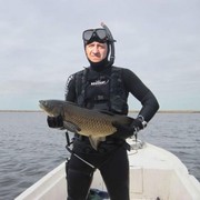 ���������� ����, ���� ������� ��������, 62 ����, ������������ ��� ������, ����� � ���������, c�������� ���������