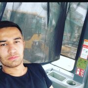 ���������� �������, ���� ������� Dov, 31 ���, ������������ ��� ������, ����� � ���������