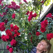  ,   , 59 ,   ,   , c 