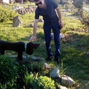 ���������� �����, ���� ������� ����, 37 ���, ������������ 