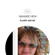 ���������� ������, ���� ������� ���, 56 ���, ������������ ��� c�������� ���������