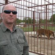   ,   , 62 ,   ,   