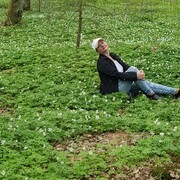 ���������� �����������, ���� ������� ����, 46 ���, ������������ ��� ������, ����� � ���������