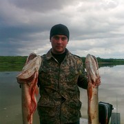 ���������� �����������, ���� ������� ���������, 46 ���, ������������ ��� ������, ����� � ���������, c�������� ���������