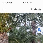 ���������� �������, ���� ������� Mihai, 55 ���, ������������ ��� ������, ����� � ���������