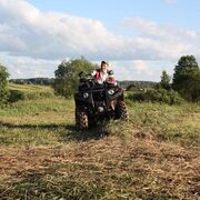 ���������� ����������, ���� ������� �������, 40 ���, ������������ ��� ������, ����� � ���������, c�������� ���������