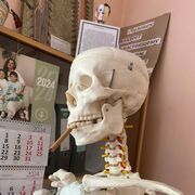 ���������� �����, �����