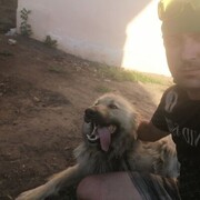 ���������� ���������, ���� ������� ����, 32 ����, ������������ ��� ������, ����� � ���������, c�������� ���������