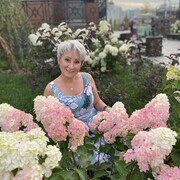 ���������� ������, ���� ������� ������, 49 ���, ������������ ��� c�������� ���������