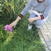 ���������� ������, ���� ������� ��������, 41 ���, ������������ ��� ������, ����� � ���������