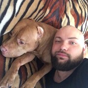 ���������� �����-���������, ���� ������� �������, 38 ���, ������������ ��� ������, ����� � ���������