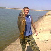 ���������� ������, ���� ������� ������, 36 ���, ������������ ��� c�������� ���������