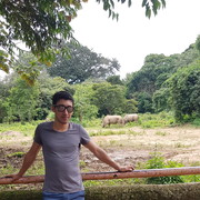  ,   Ak, 33 ,  