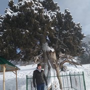  ,   Ibrohim, 36 ,   