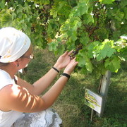 ���������� ���������, ���� ������� ���������, 37 ���, ������������ ��� ������, ����� � ���������, c�������� ���������