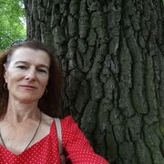  ,   , 55 ,   
