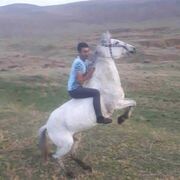   ,   Vlo, 29 ,   ,   
