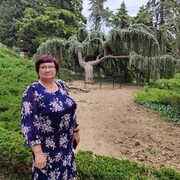  ,   , 60 ,     , 