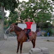 ���������� ���������, ���� ������� ����, 27 ���, ������������ ��� ������, ����� � ���������