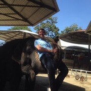  ,    , 36 ,   ,   , c , 