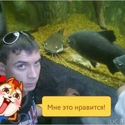 ���������� ������ ���, ���� ������� �������, 36 ���, ������������ ��� ����� � ���������, c�������� ���������, ���������