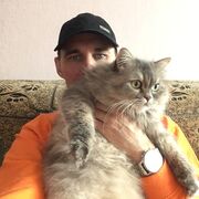 ���������� �����, ���� ������� ������, 40 ���, ������������ ��� ������, ����� � ���������