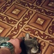 ���������� ���������, ���� ������� ����������, 30 ���, ������������ ��� ������, ����� � ���������, c�������� ���������