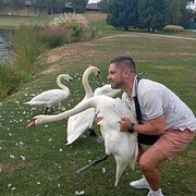 ���������� ��������, ���� ������� Butterfly, 39 ���, ������������ 