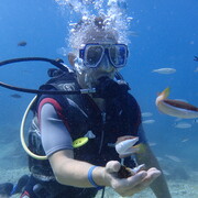  ,   , 39 ,   ,   , c 