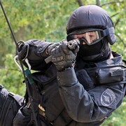 ���������� �����, ���� ������� ������, 41 ���, ������������ ��� ������, ����� � ���������