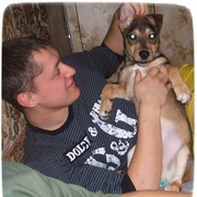 ���������� �����, ���� ������� �������, 36 ���, ������������ ��� ������, ����� � ���������, c�������� ���������