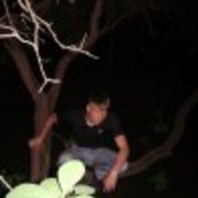   ,   , 36 ,  