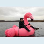 ���������� ������, ���� ������� �����, 36 ���, ������������ ��� c�������� ���������