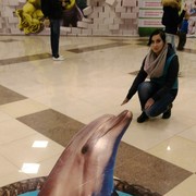 ���������� ������, ���� ������� ��������, 27 ���, ������������ ��� ������, ����� � ���������, c�������� ���������