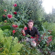 ���������� ������, ���� ������� ���, 35 ���, ������������ ��� ������, ����� � ���������, c�������� ���������