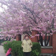 ���������� �����������, ���� ������� ������, 67 ���, ������������ ��� ������, ����� � ���������, c�������� ���������