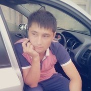 ���������� ������, ���� ������� Fanatik, 36 ���, ������������ ��� ������